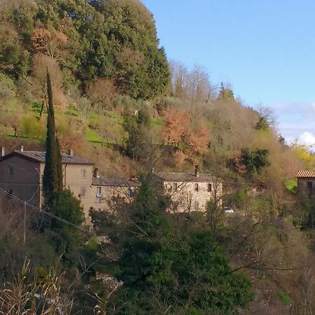 Rustico Lägenhet Bagnoregio Exteriör bild