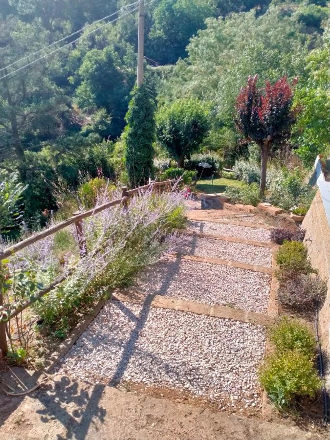 Rustico Lägenhet Bagnoregio Exteriör bild